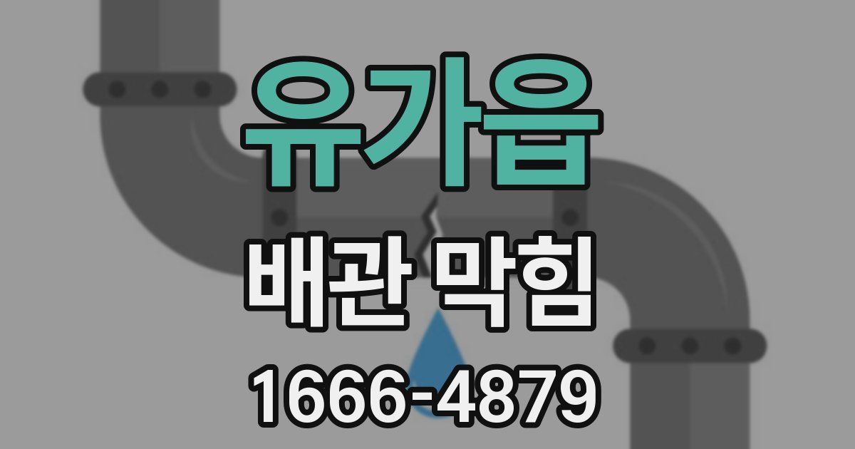 유가읍 배관 막힘