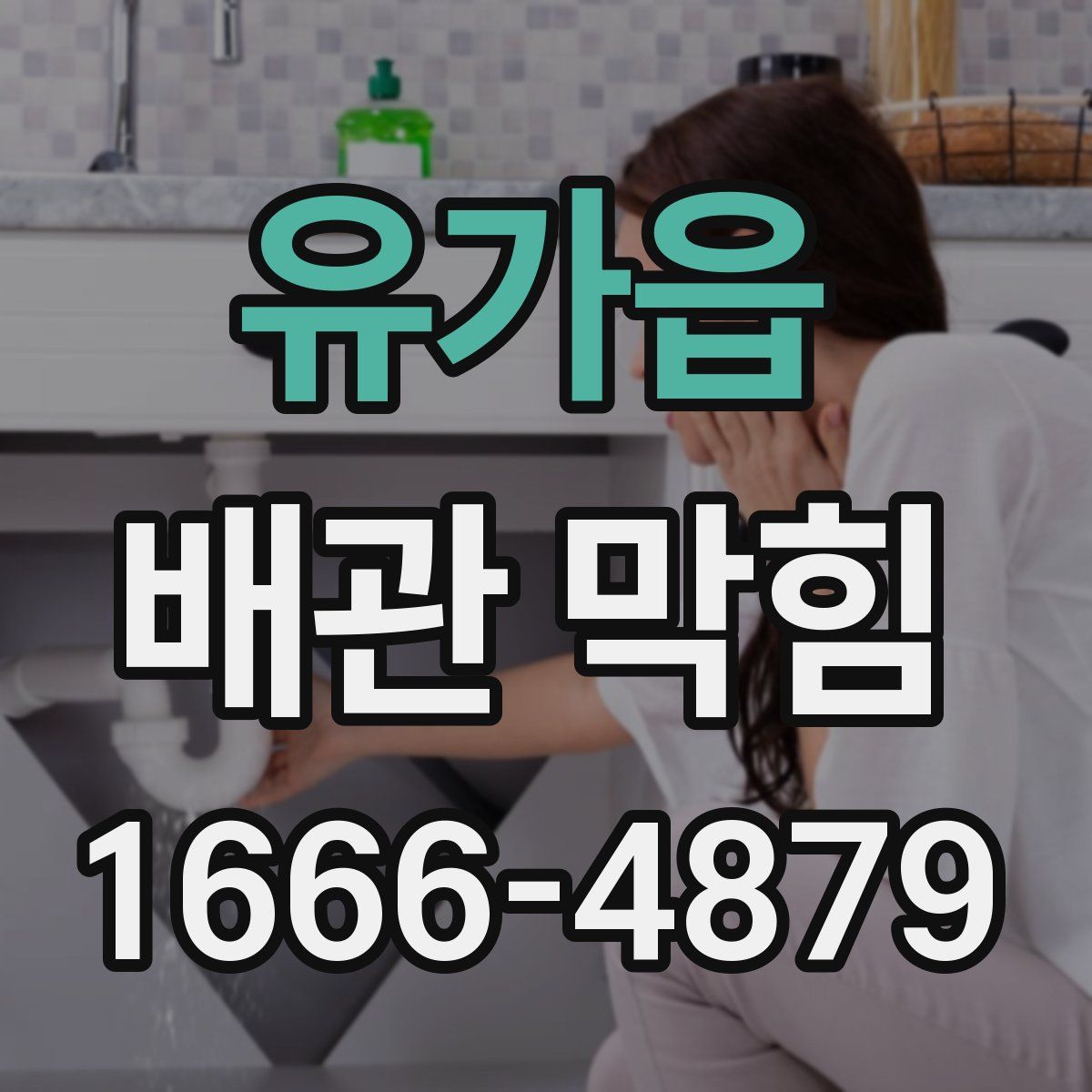 유가읍 배관 막힘