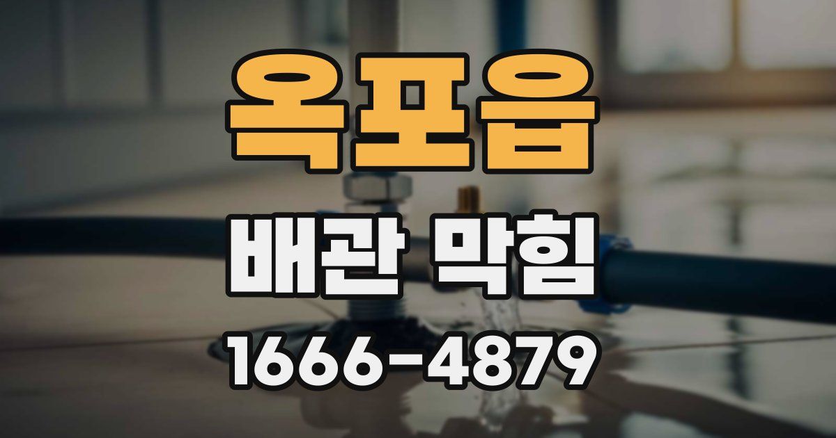 옥포읍 배관 막힘