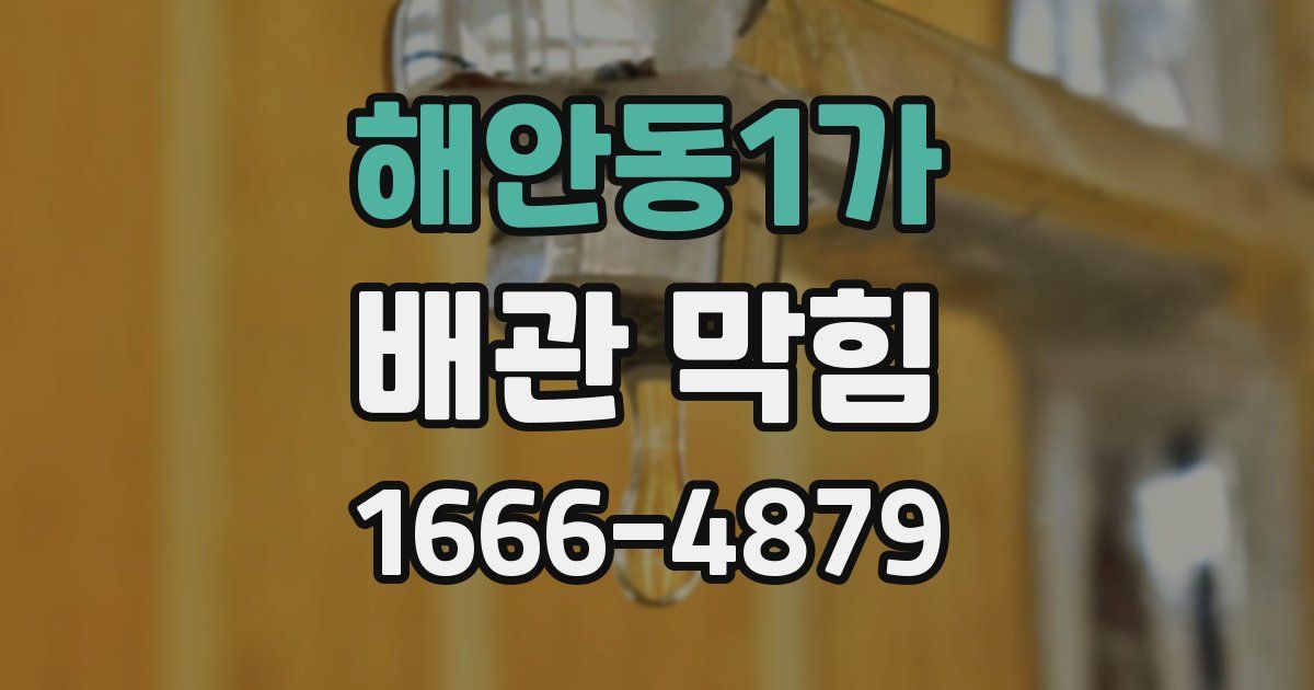 해안동1가 배관 막힘
