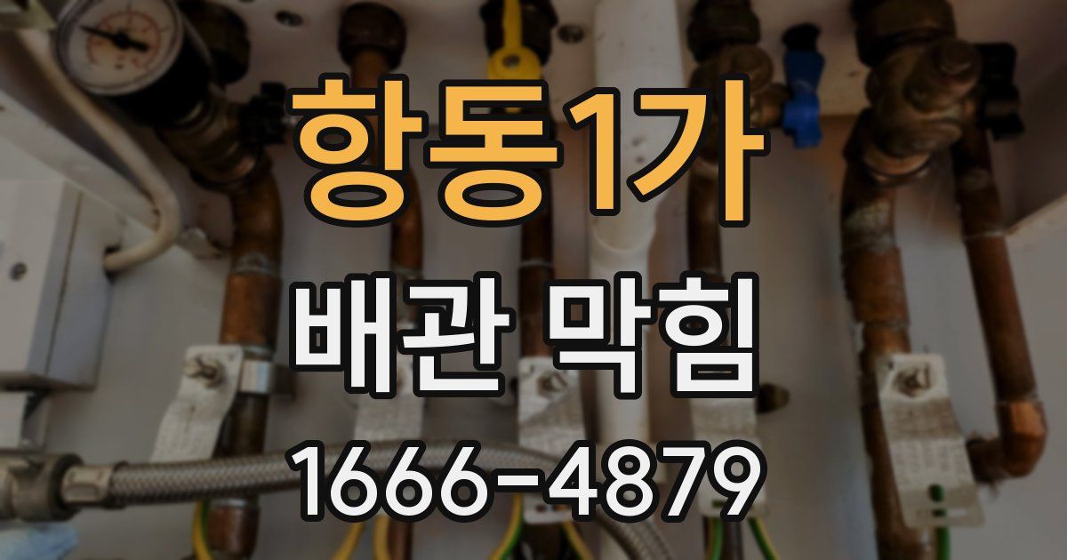 항동1가 배관 막힘