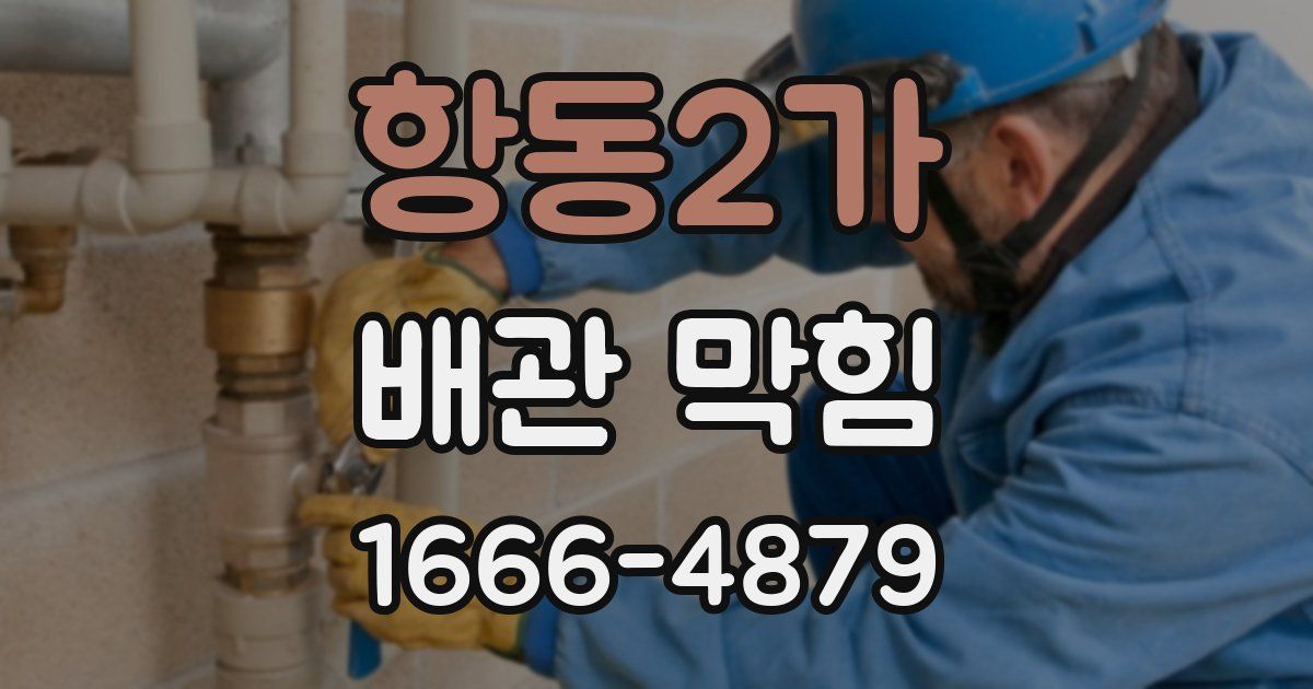항동2가 배관 막힘