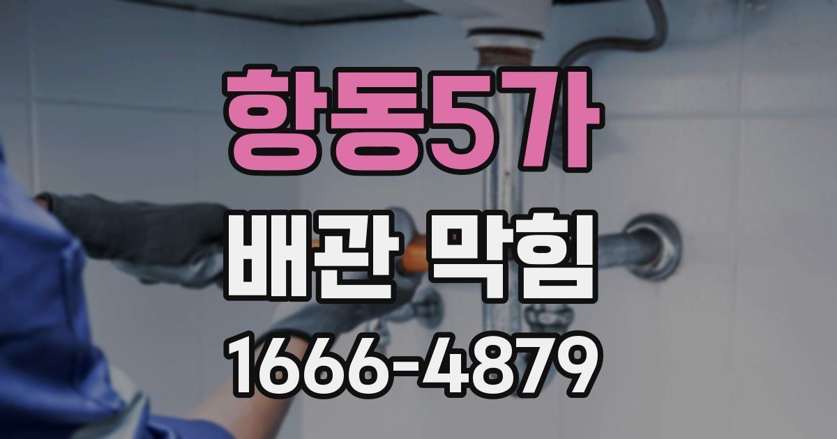 항동5가 배관 막힘