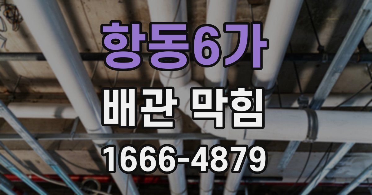 항동6가 배관 막힘