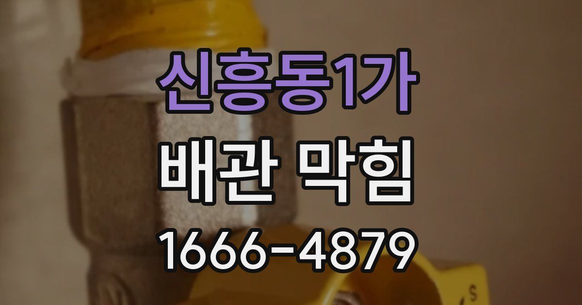 신흥동1가 배관 막힘