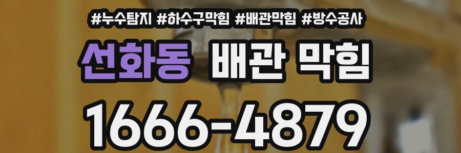 선화동 배관 막힘