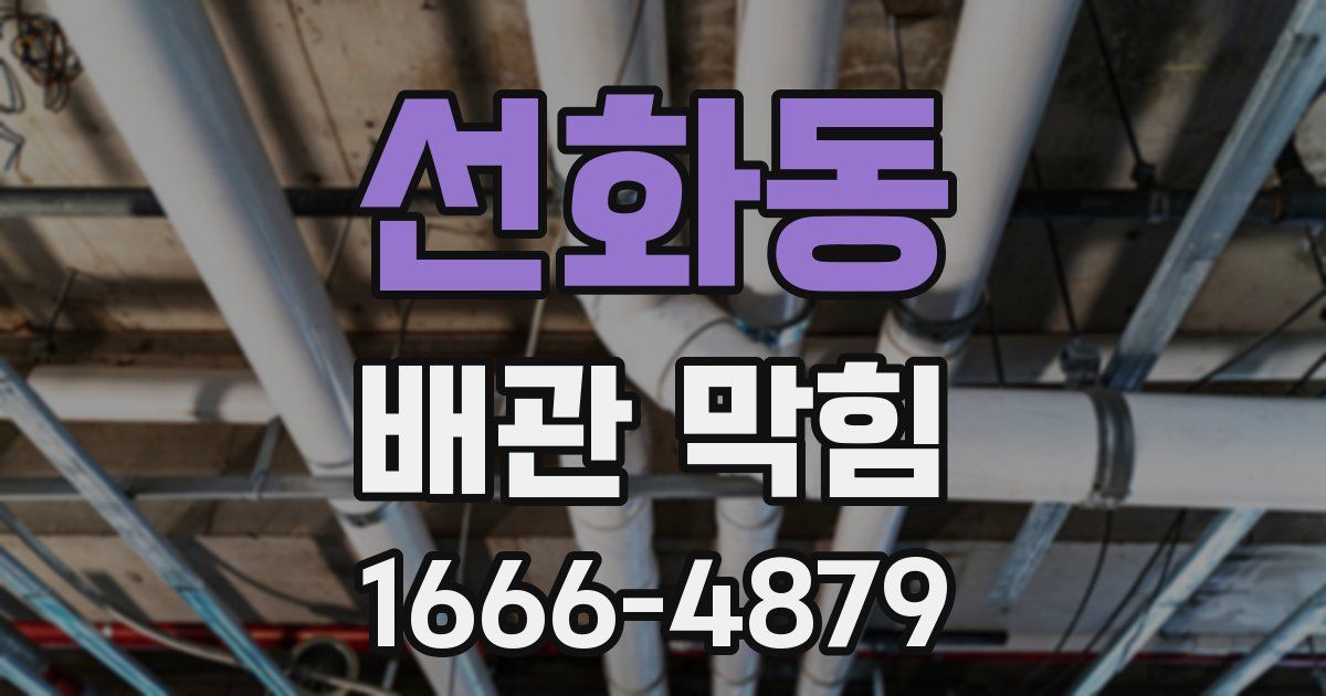 선화동 배관 막힘