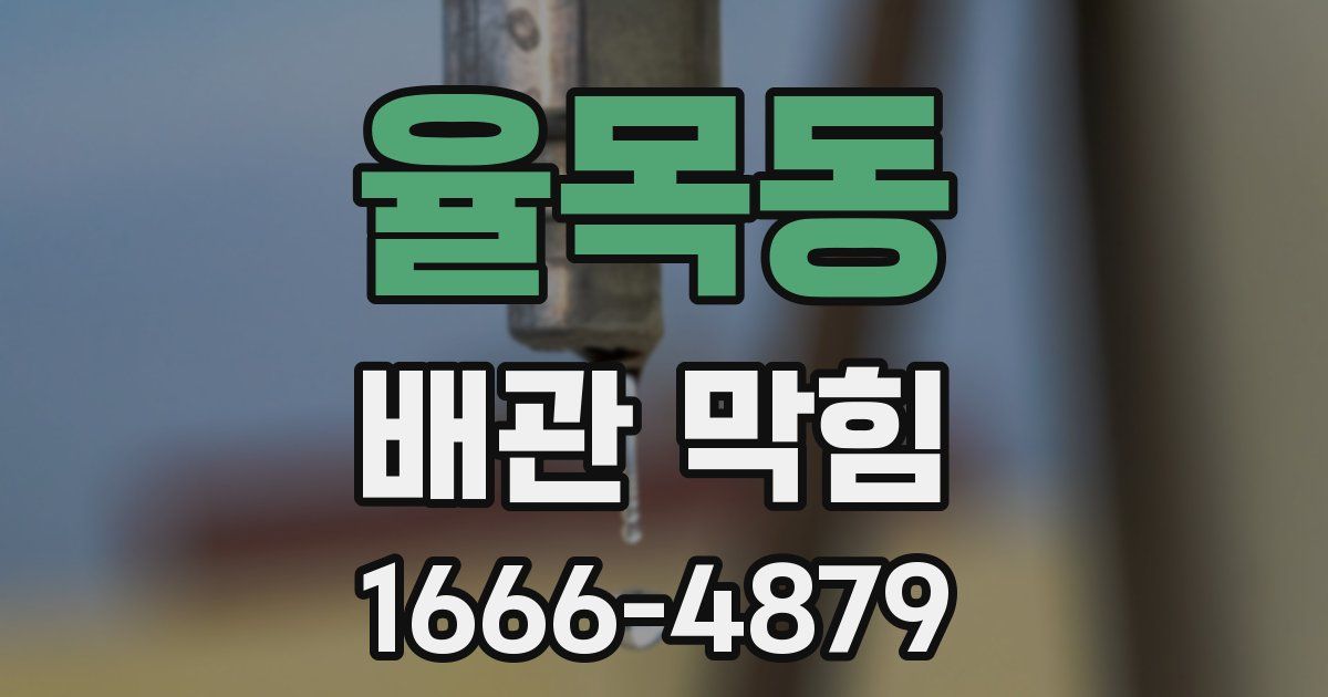 율목동 배관 막힘