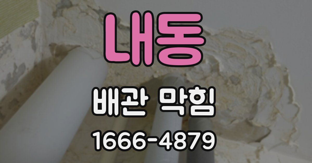내동 배관 막힘