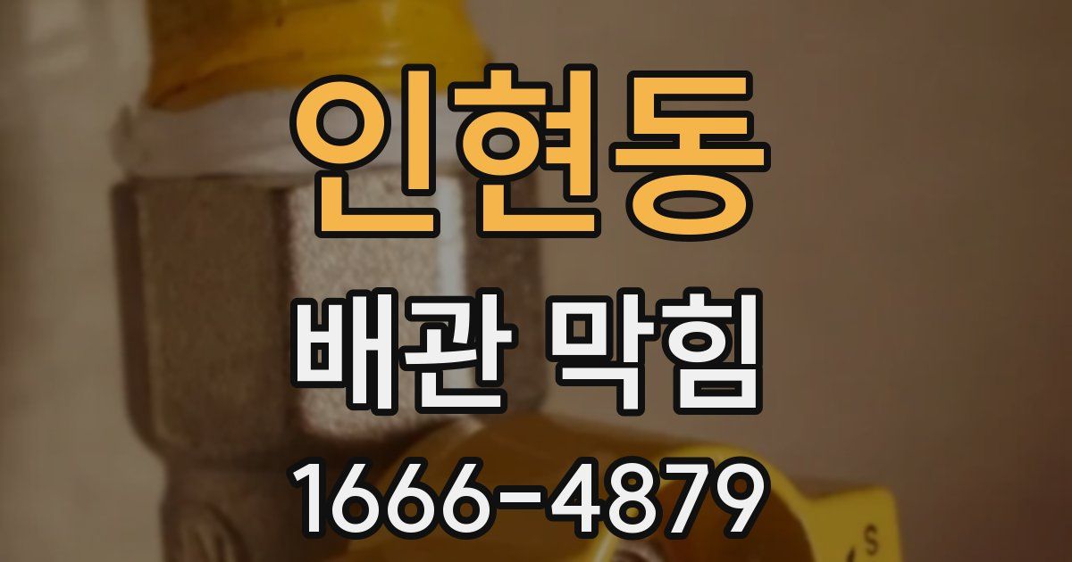 인현동 배관 막힘