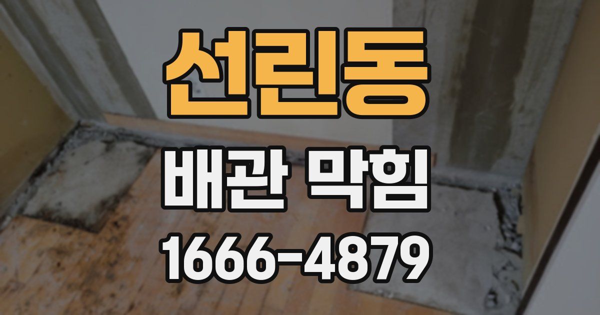 선린동 배관 막힘