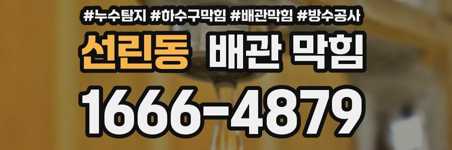 선린동 배관 막힘