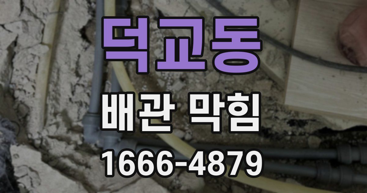 덕교동 배관 막힘