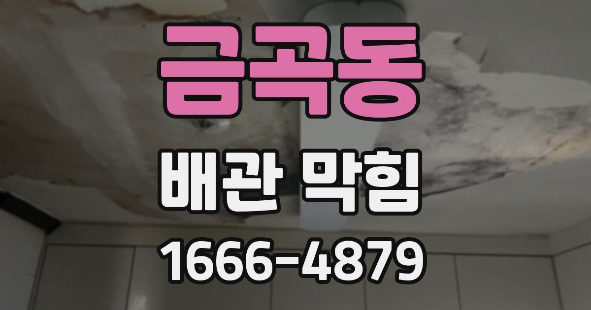 금곡동 배관 막힘