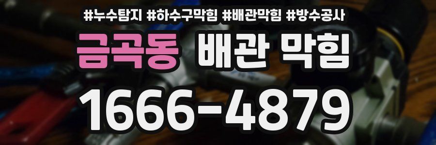 금곡동 배관 막힘