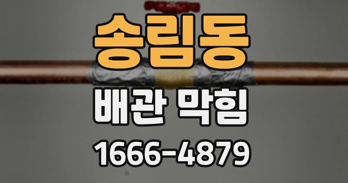 송림동 배관 막힘