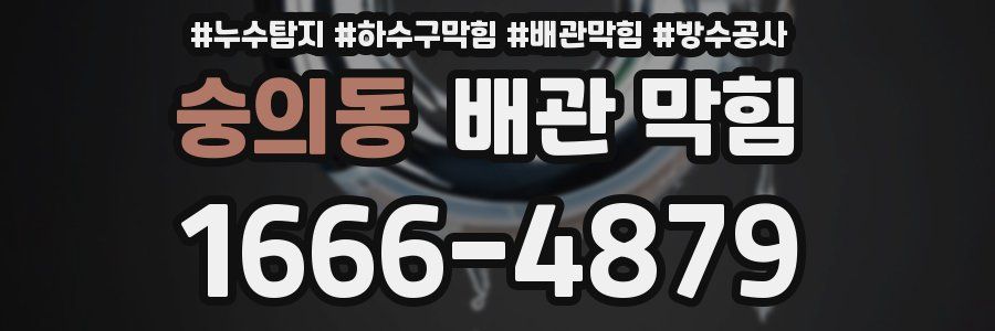 숭의동 배관 막힘