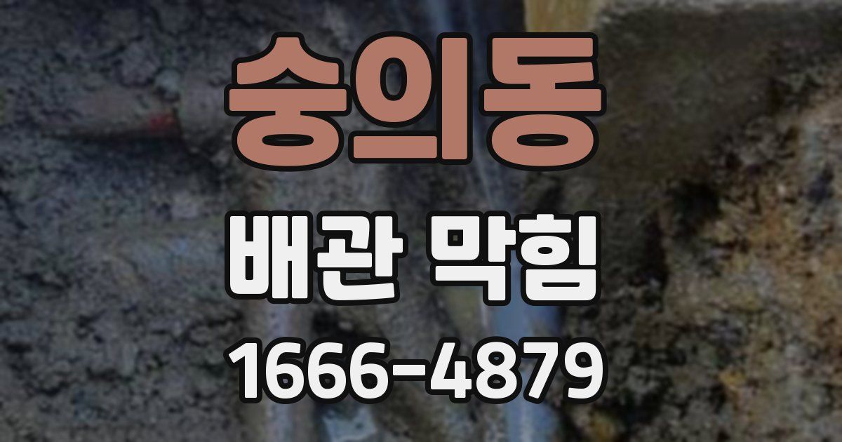 숭의동 배관 막힘