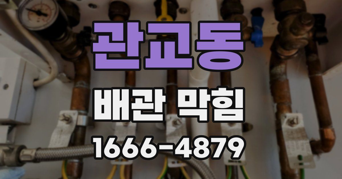 관교동 배관 막힘