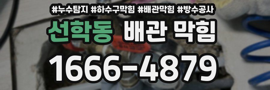 선학동 배관 막힘