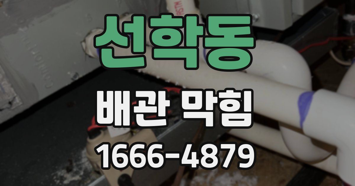 선학동 배관 막힘