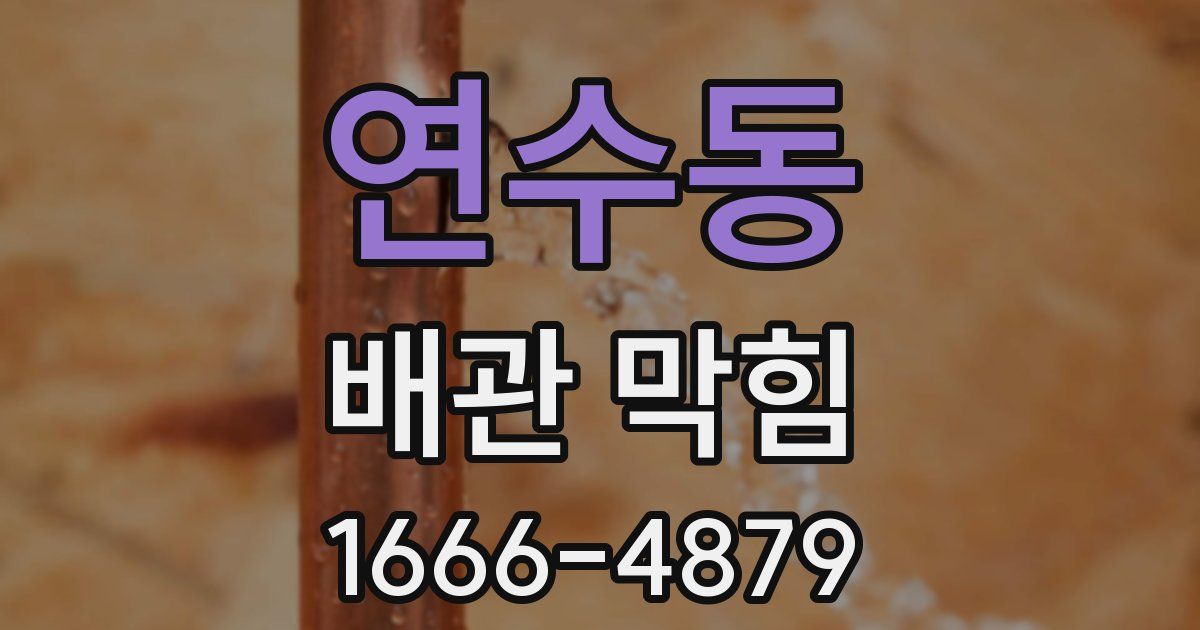 연수동 배관 막힘