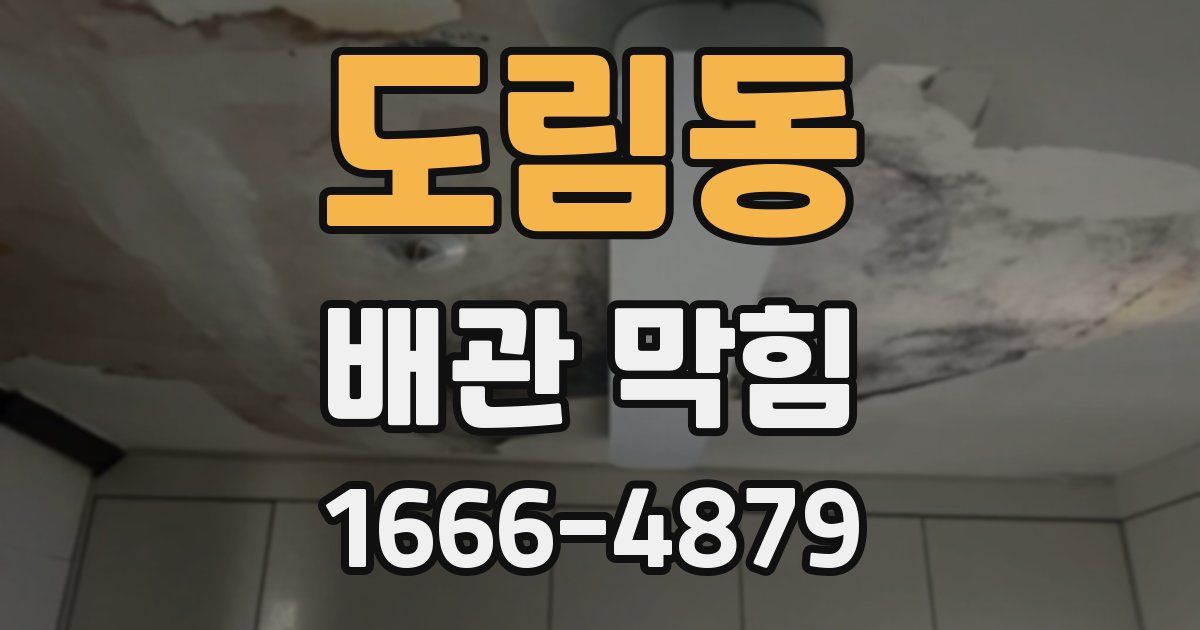도림동 배관 막힘