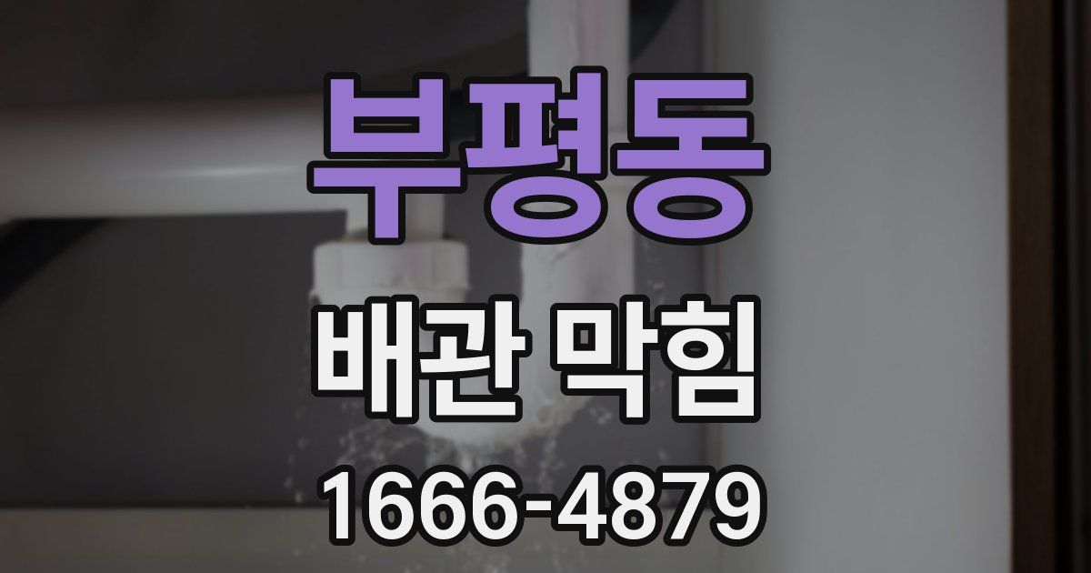 부평동 배관 막힘