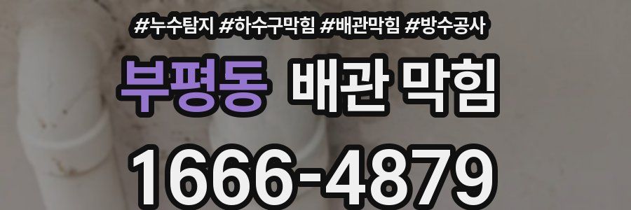 부평동 배관 막힘