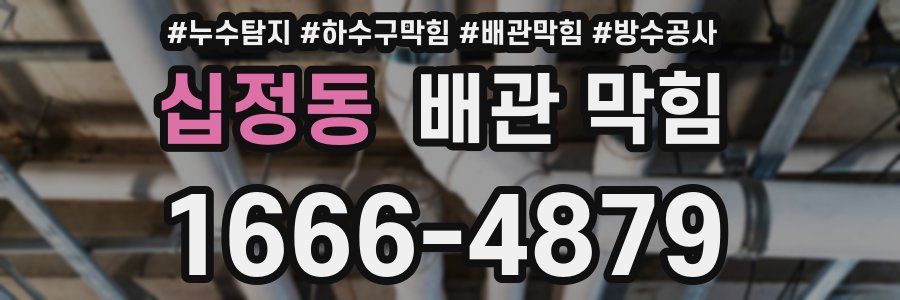 십정동 배관 막힘
