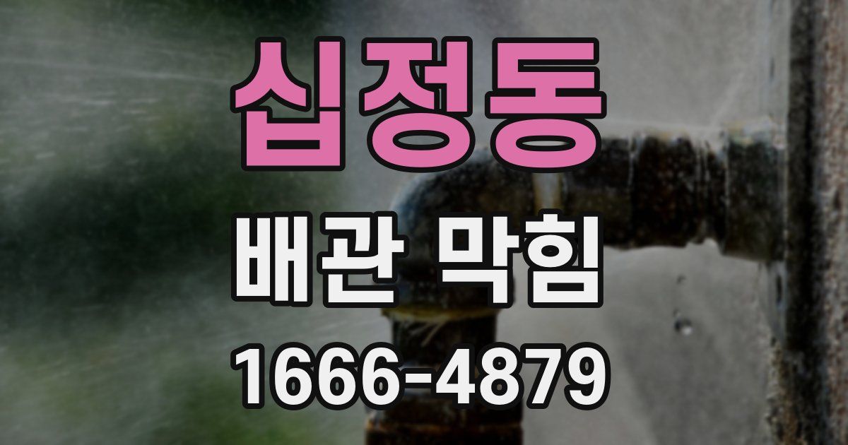 십정동 배관 막힘