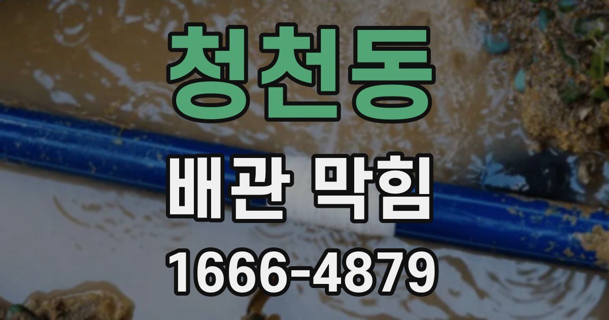 청천동 배관 막힘