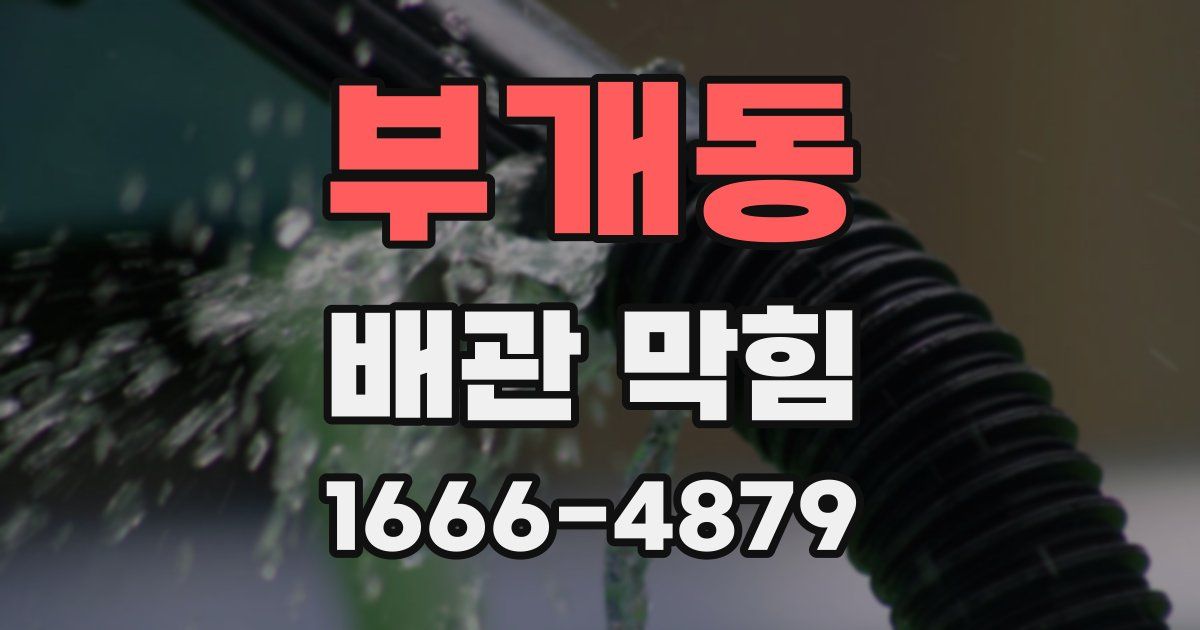 부개동 배관 막힘