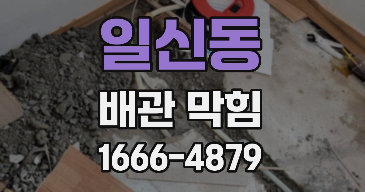 일신동 배관 막힘