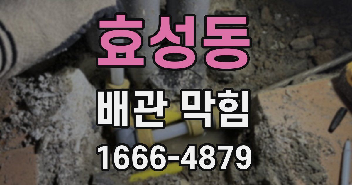 효성동 배관 막힘