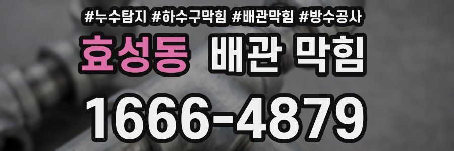 효성동 배관 막힘