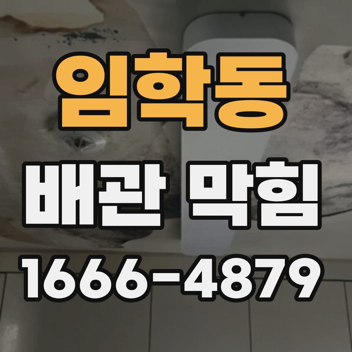 임학동 배관 막힘