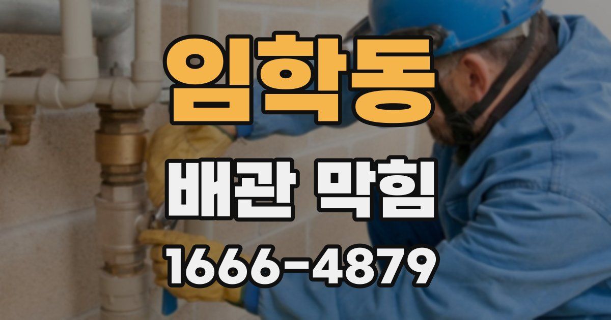 임학동 배관 막힘