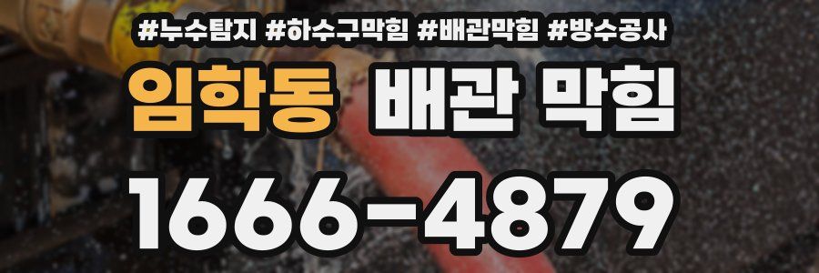 임학동 배관 막힘