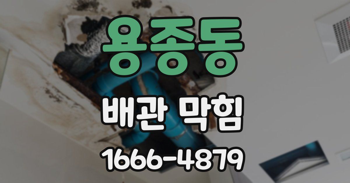 용종동 배관 막힘