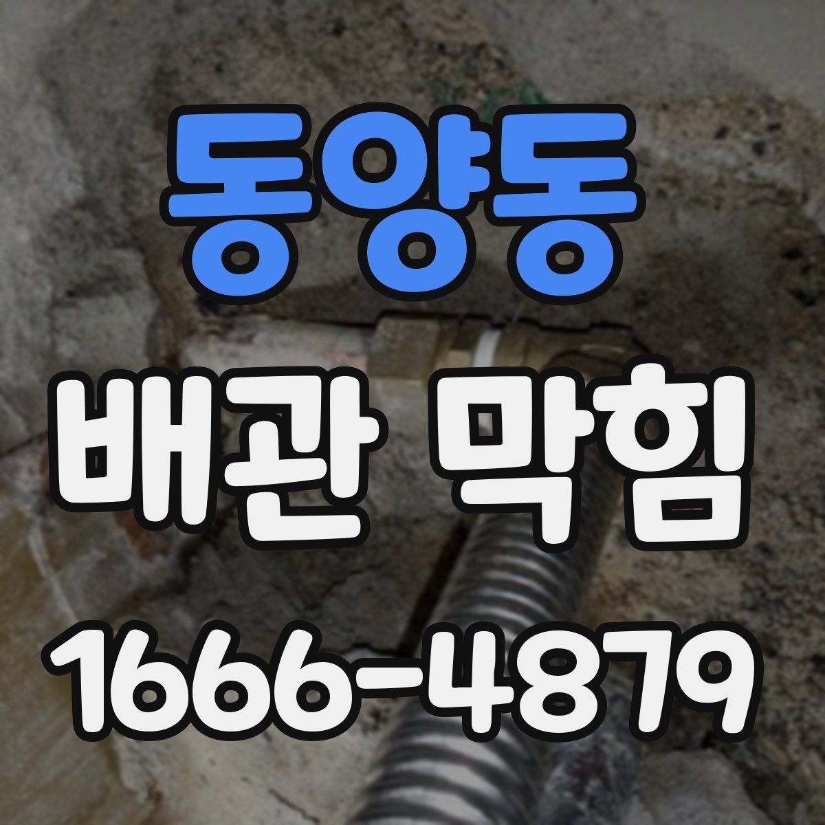 동양동 배관 막힘