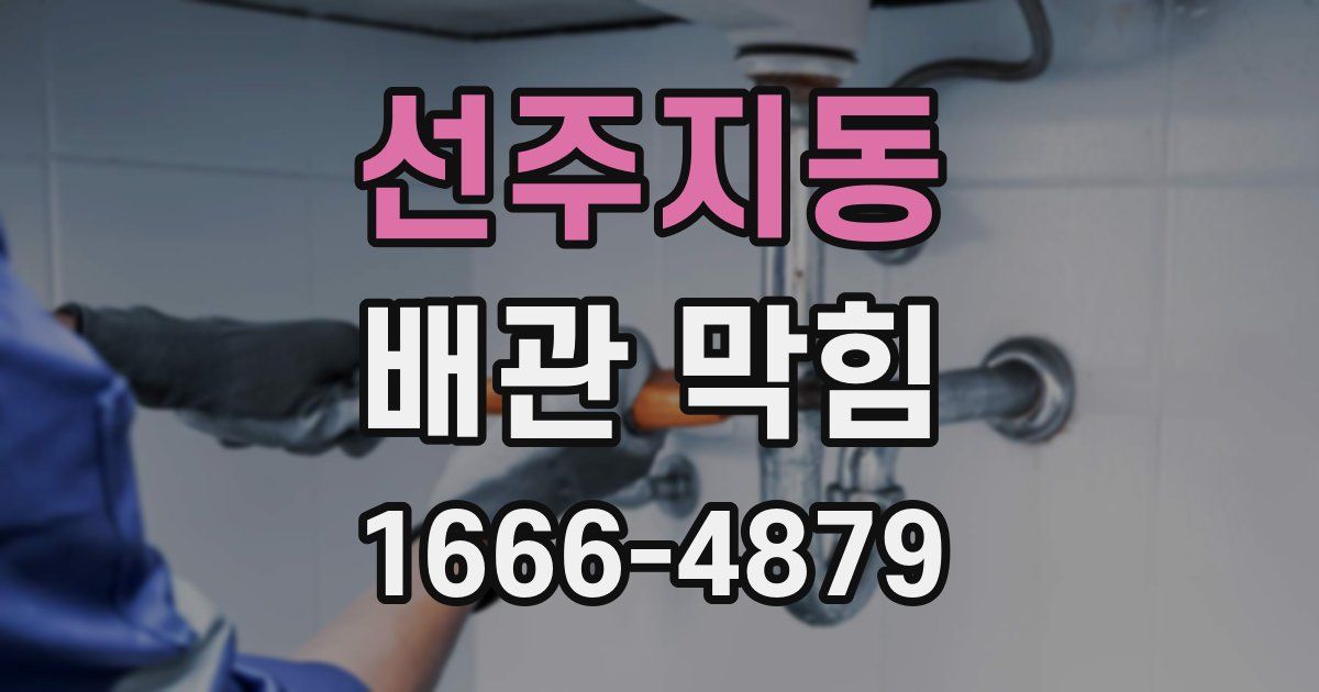 선주지동 배관 막힘