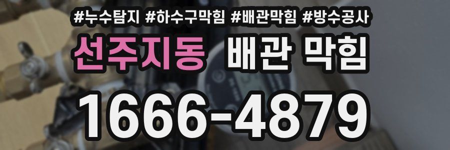 선주지동 배관 막힘