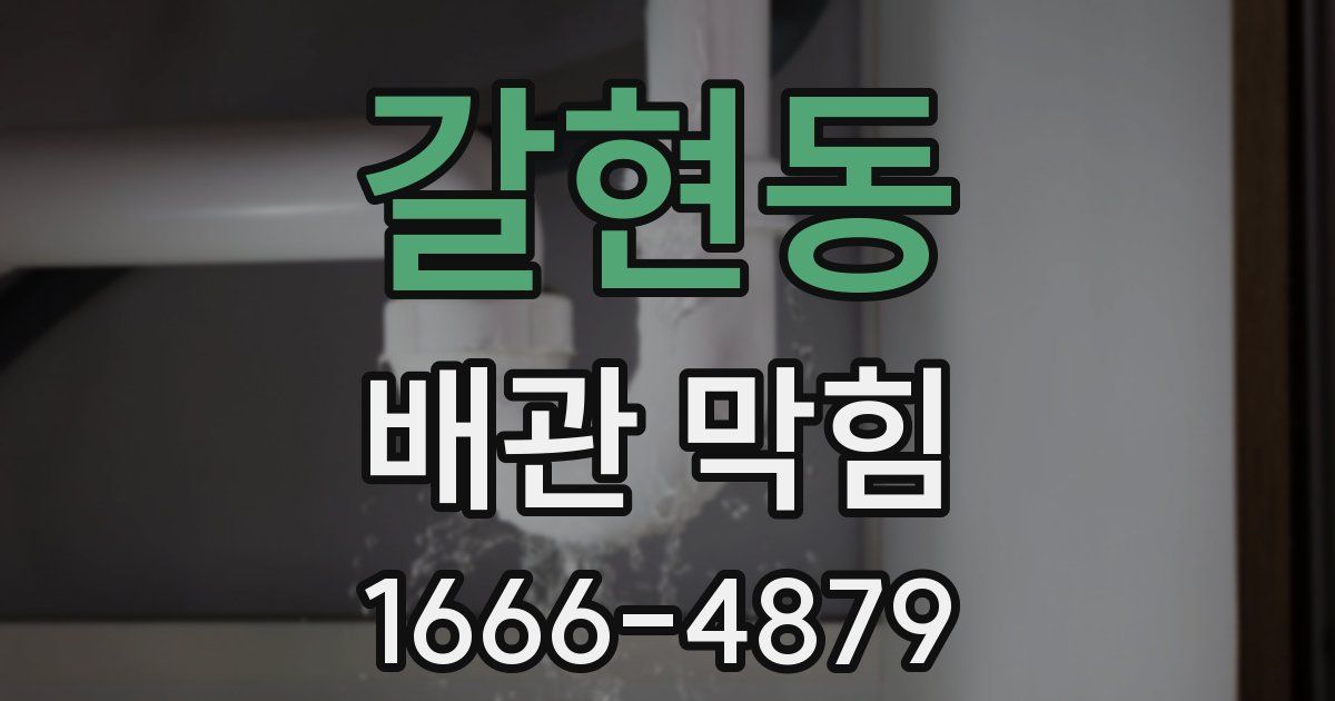 갈현동 배관 막힘