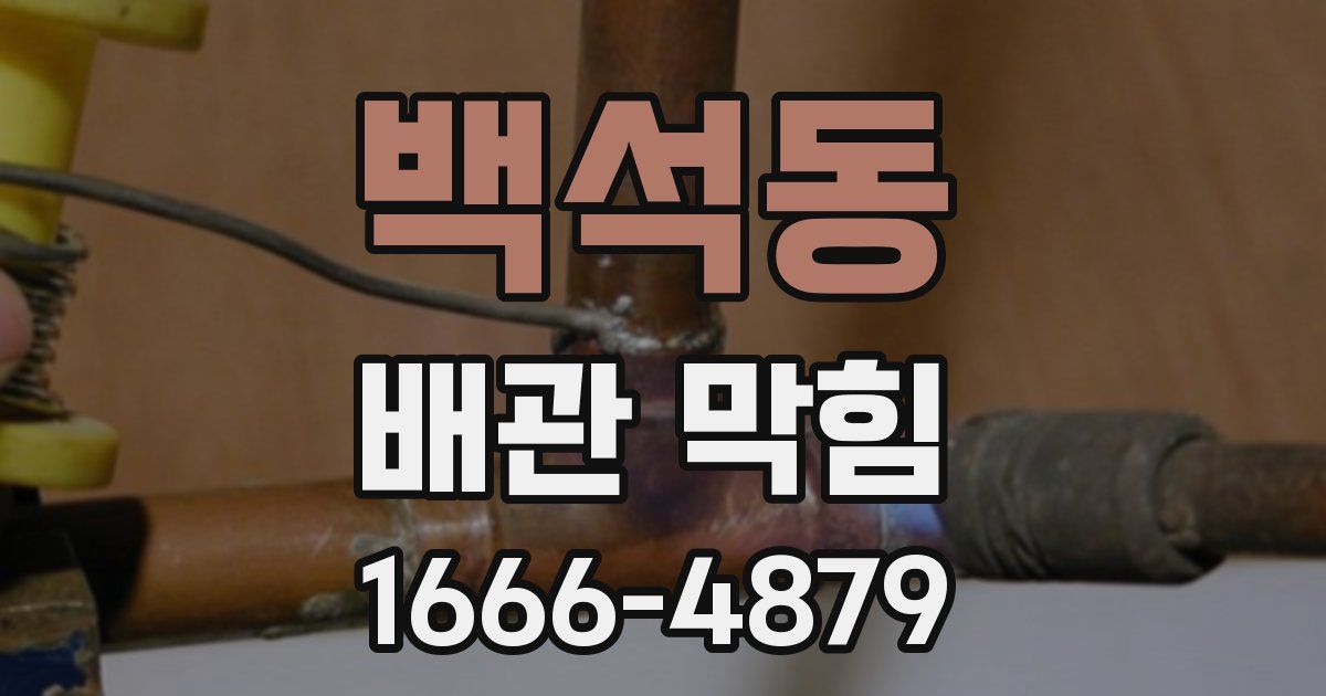 백석동 배관 막힘