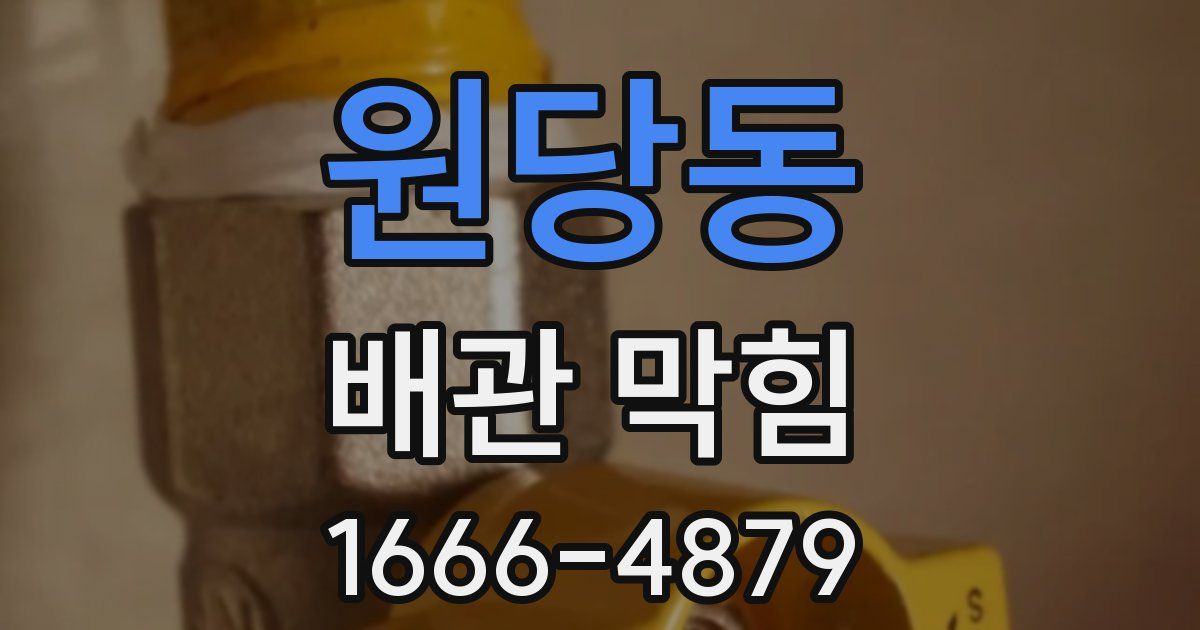 원당동 배관 막힘