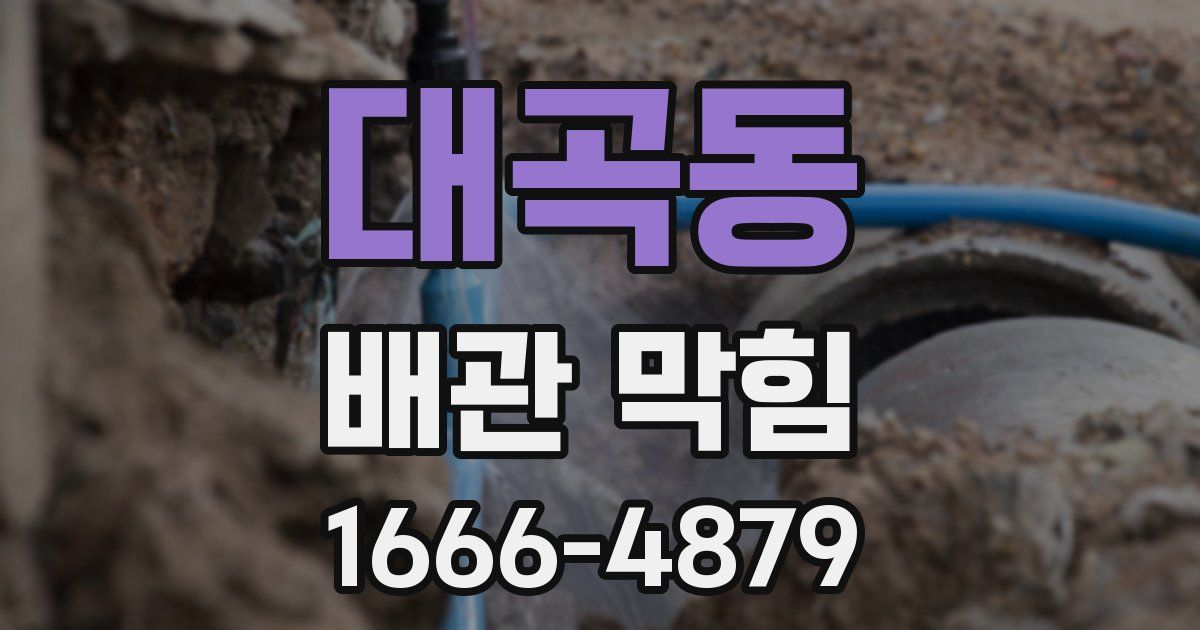 대곡동 배관 막힘