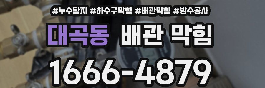 대곡동 배관 막힘