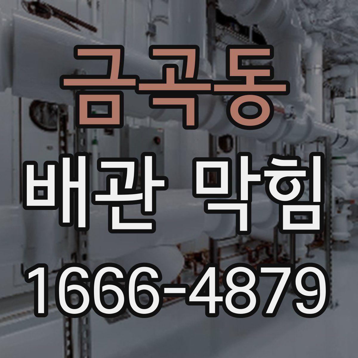 금곡동 배관 막힘