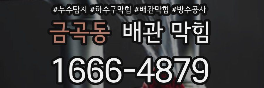 금곡동 배관 막힘